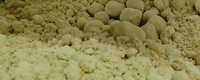 Raw Material Receiving & Treatment
