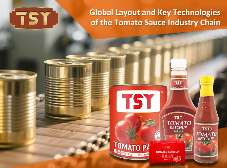 Global Layout And Key Technologies of The Tomato Sauce Industry Chain