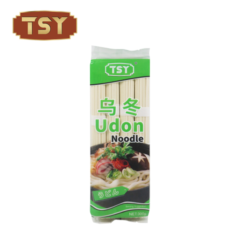 Japanese Udon Soup Noodles