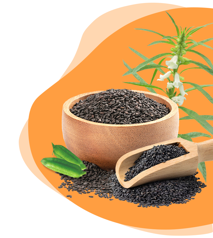 Raw materials of sesame oil